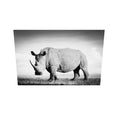 Load 3D model into Gallery viewer, Rhino Land