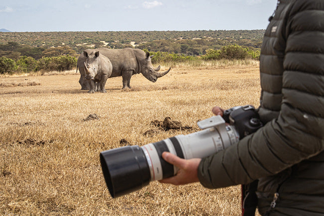 Björn Persson & Beta Fine Art: The Wildlife Art Odyssey