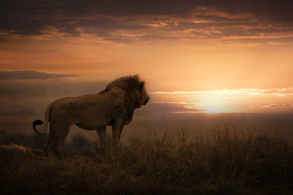 A New Day