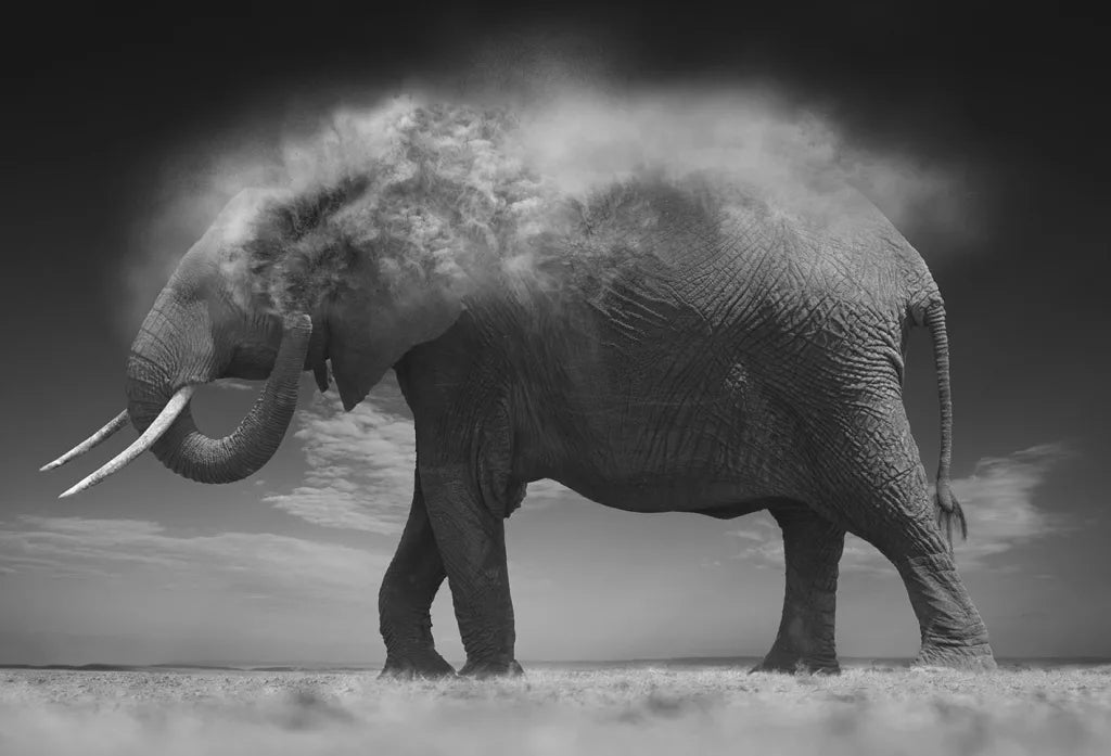 Dust