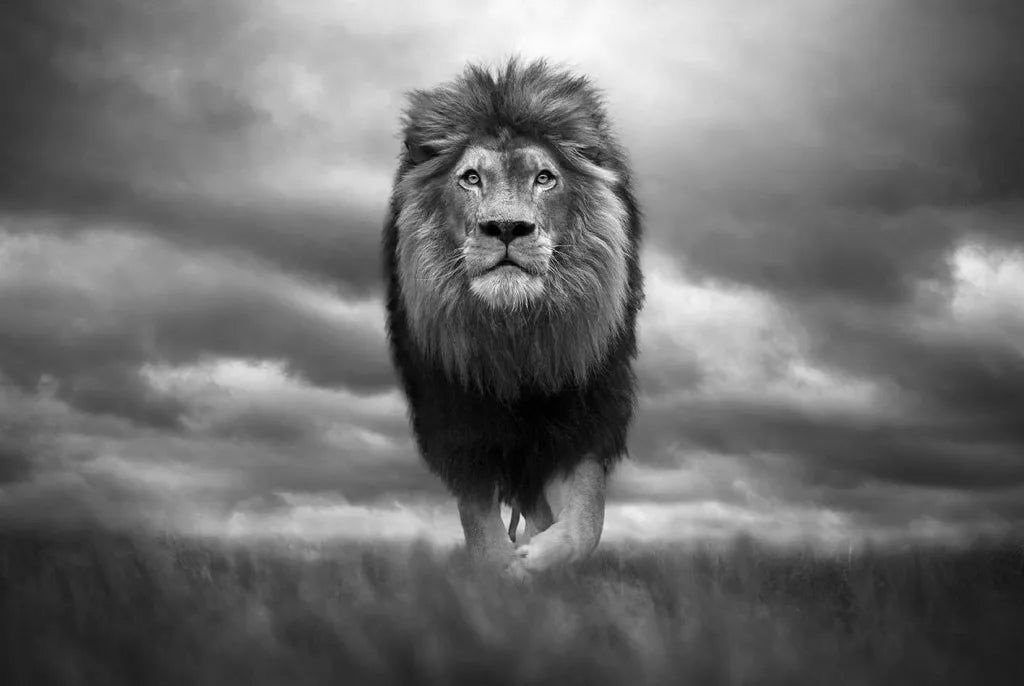 King Of Kings