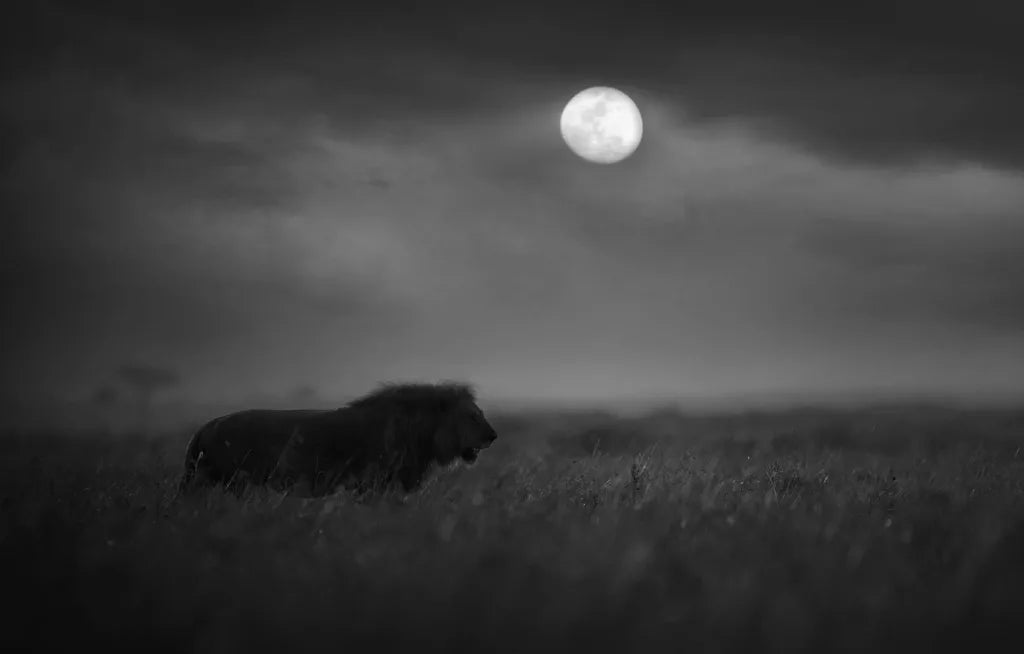 Moonhunter