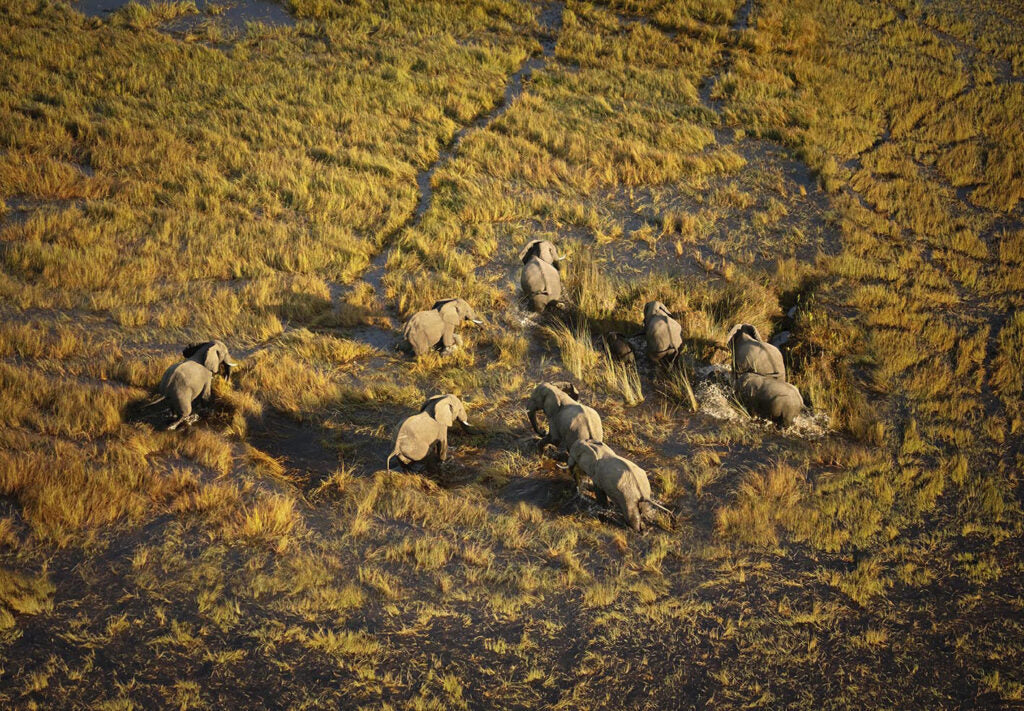 River Of Life