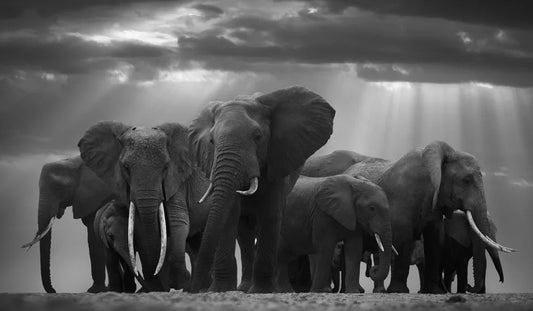 The Real Owners Of The Planet