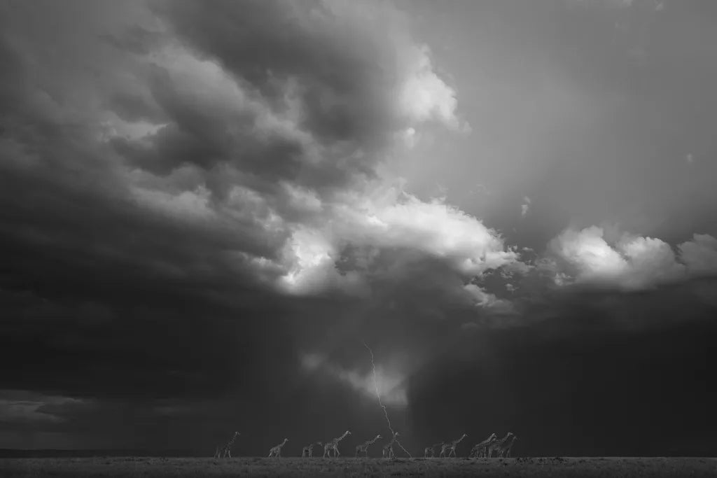THUNDERROAD-1-1024x683.webp