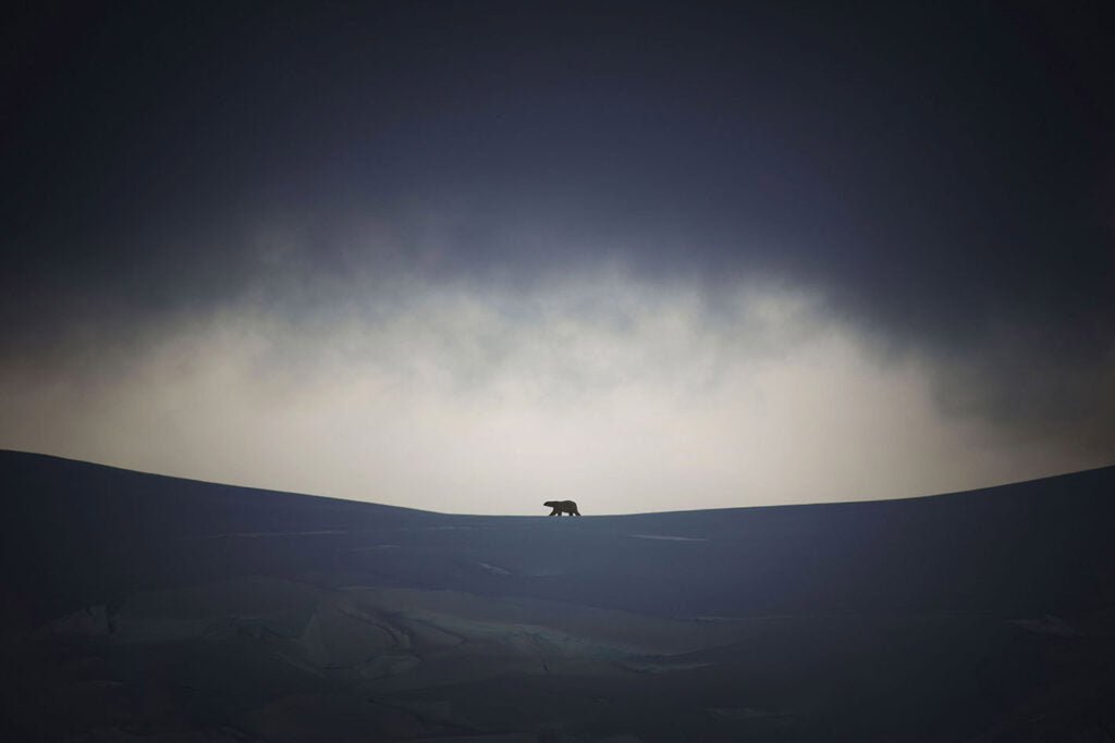 Arctic Horzon
