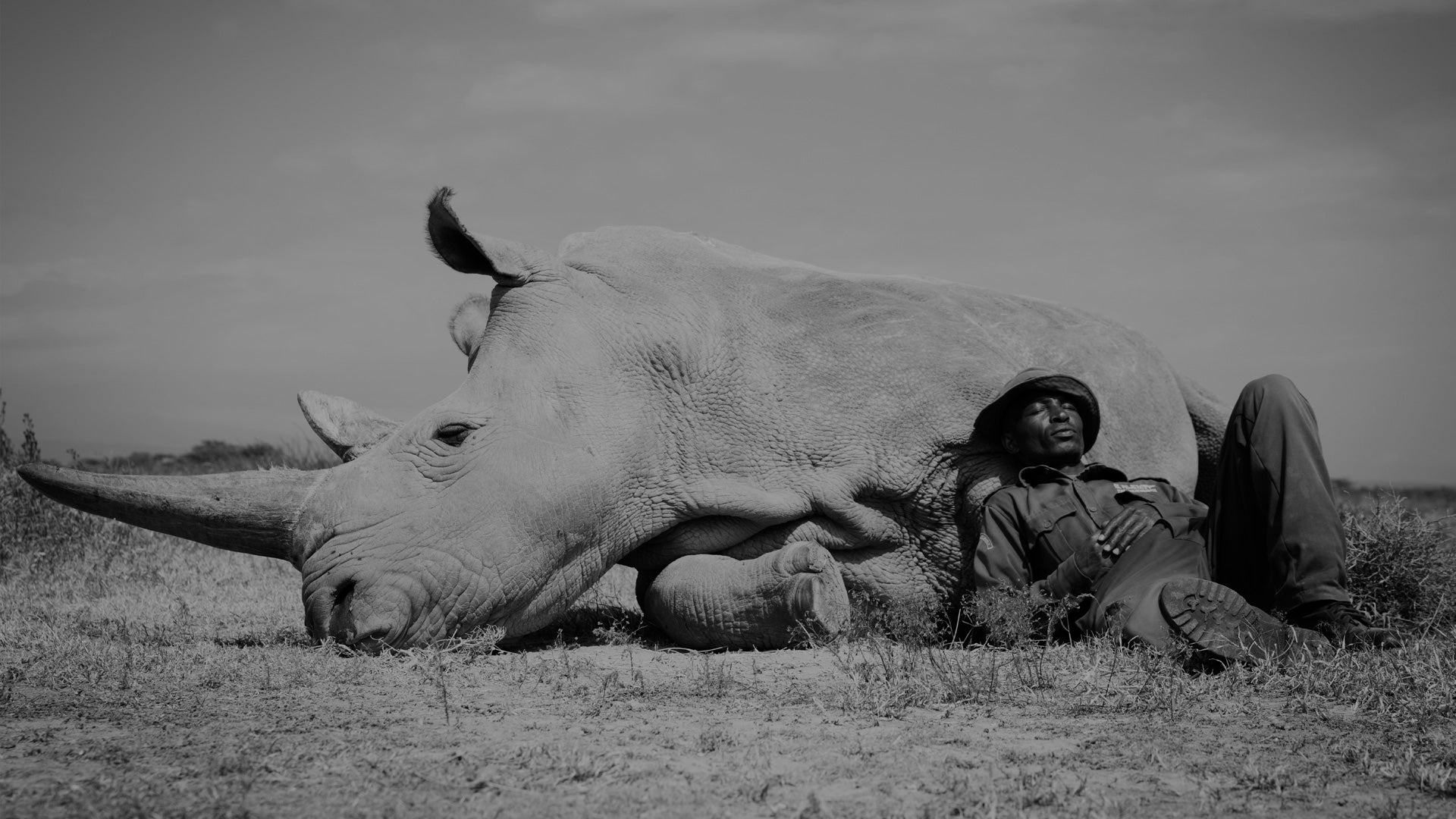 Conservation Hero