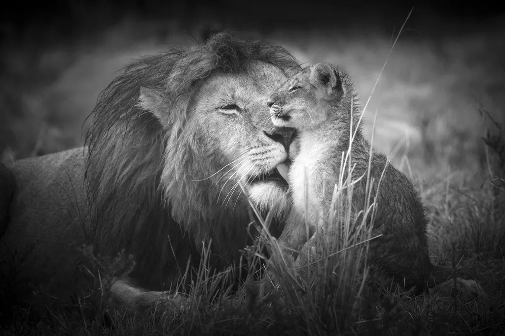 Father And Son
