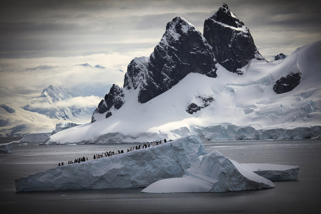 Landofthepenguins