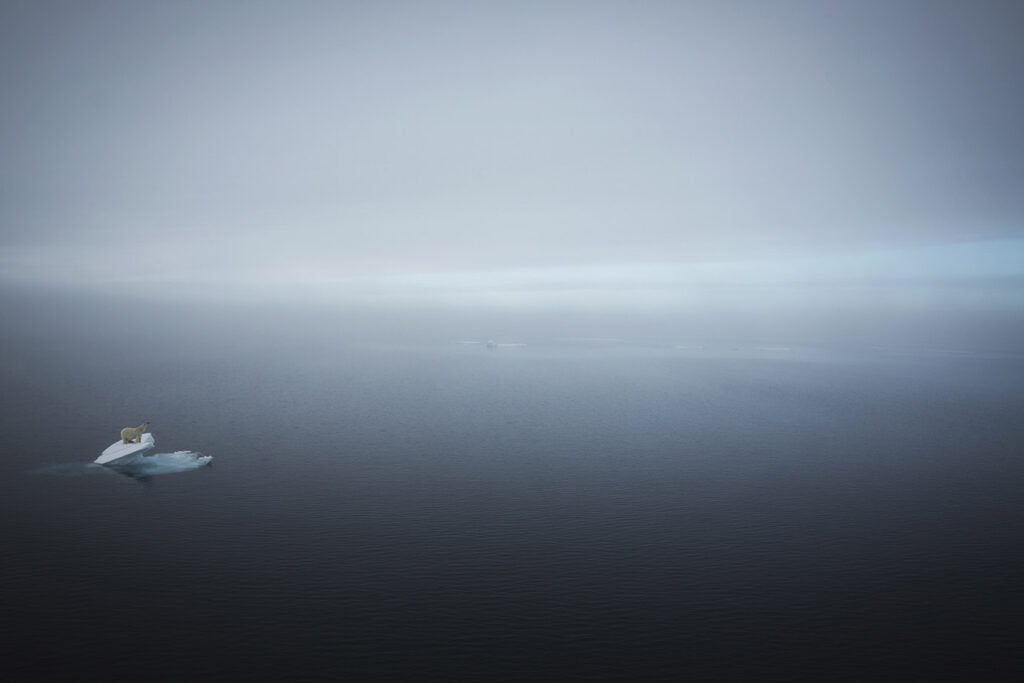 Lost World