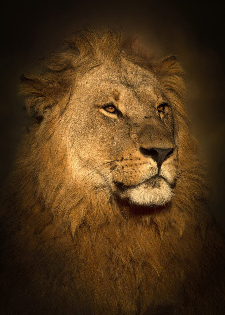 The Royal