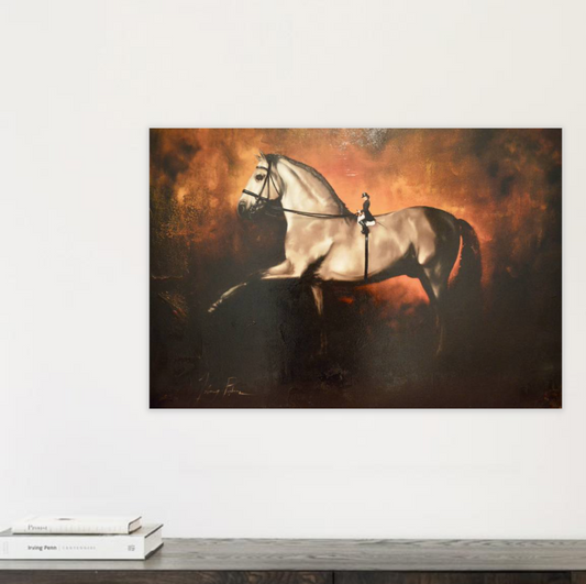 Dressage, A Horse's View